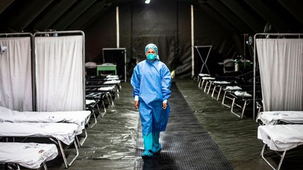 The Coronavirus Pandemic, Viewed from Six Expert Perspectives