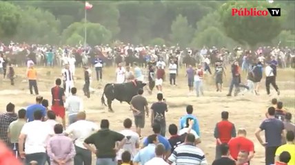 Las medidas que reclama el sector taurino para sobrevivir al coronavirus