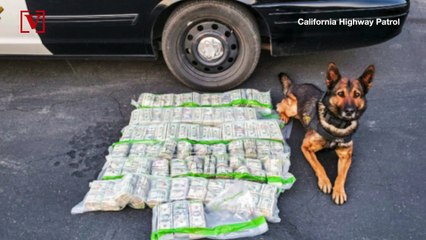 Suspect Drops $1M in Cash on the Side of the Road During Police Chase in California