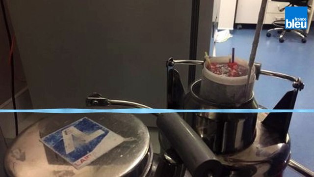 Coronavirus : les couples stériles stoppés net dans leur désir d'enfant