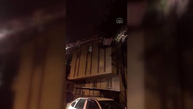 Ağaçta mahsur kalan kediyi itfaiye ekipleri kurtardı