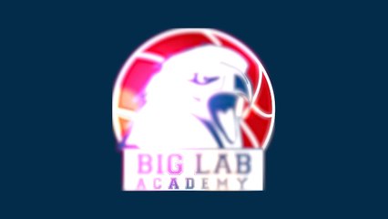 Camp basket New York avec Trip Double et BIG LAB Academy