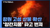 강원 고성 산불 강풍 타고 확산...주민·장병 2,400여 명 대피 / YTN