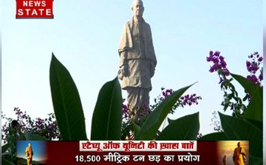 4 साल की मशक्कत के बाद बनी है 'स्टैच्यू ऑफ यूनिटी', जानें खास बातें