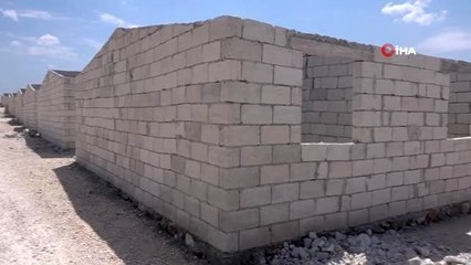 - AFAD'dan Suriyeliler için yeni kamp inşa