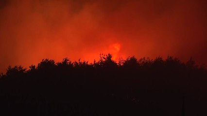 이 시각 고성 산불 현장..."차가 휘청거릴 정도의 바람도" / YTN