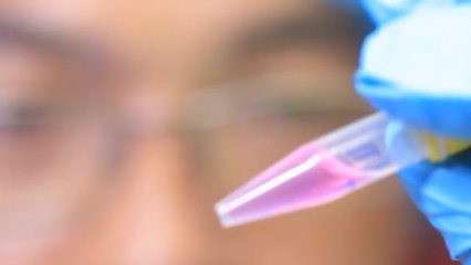 OMS insiste en que "todas las pruebas" apuntan a origen animal del coronavirus