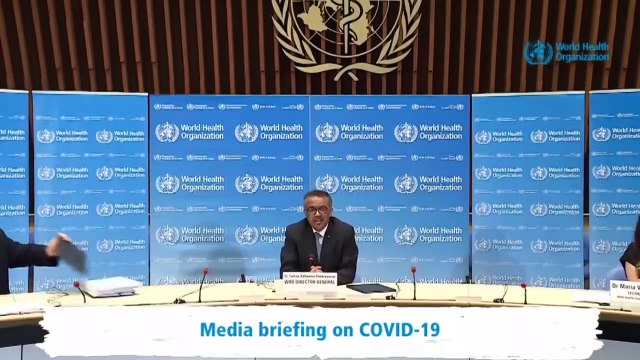 OMS insiste en que todas las pruebas apuntan a origen animal del coronavirus