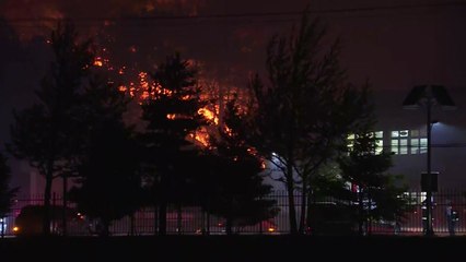 고성 산불 현장 강풍 여전..."날 밝아야 본격 진화 가능" / YTN