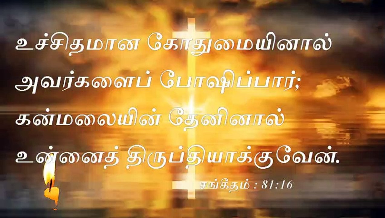 வேதவசனம்  Bible verse சங்கீதம் 81 16  02 05 2020