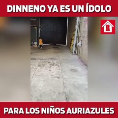 La afición auriazul ya tiene nuevo ídolo