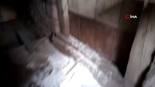 Yaylaya çıkınca şoku yaşadılar.