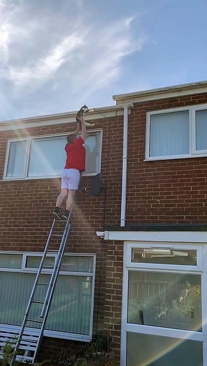 Sabrina the Cat Gets Stuck and Needs a Rescue