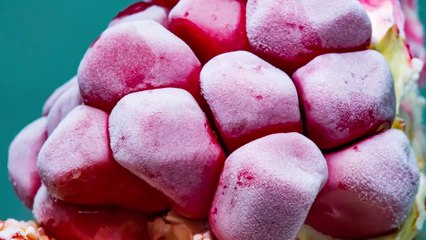 Décongélation de fruits et légumes filmés en macro