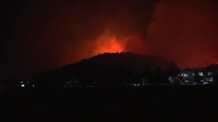 고성 산불, 강풍 다소 잦아들어..."인명피해 없어" / YTN