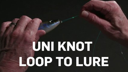 How to tie a Uni-Knot Loop to a lure