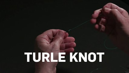 How to Tie a Turle Knot