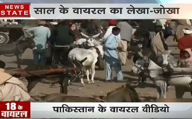 2018 Viral Video: अजब-गजब पाकिस्तानी रिपोर्टर