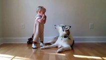 Duo parfait : bébé à l'Harmonica et chien qui hurle