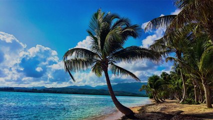 Puerto Rico Is Putting on Live Tours so You Can Take an At-home Vacation