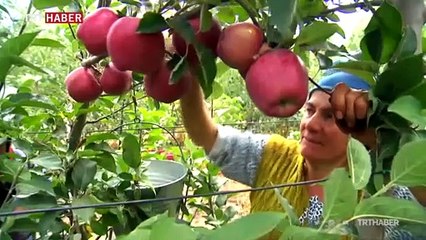 Hazine arazileri tarıma açılıyor