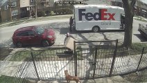 Delivery Driver Haphazardly Tosses Delicate and Expensive Package