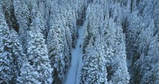 Drone view -  Ice road trees winter