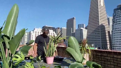 MBR Presents: Miro  LIVE - 1/MAY