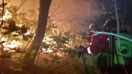 고성 산불 12시간 만에 진화...잔불 정리 / YTN