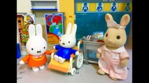 HOSPITAL VISIT Miffy the Bunny Toys-