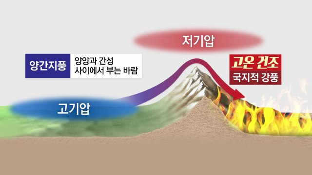 건조특보 속 '양간 지풍'이 원인...현재 상황과 전망은? / YTN