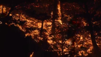 12시간 만에 큰 불길 잡은 고성 산불...피해 커진 이유는? / YTN