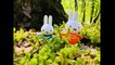 POND Water Animals Insects in Nature with Miffy the Bunny Toys