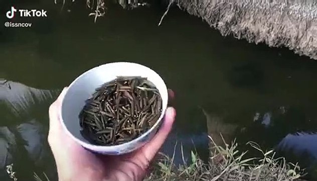 Việt Nam Tươi Đẹp_trò chơi tuổi thơ miền Tây