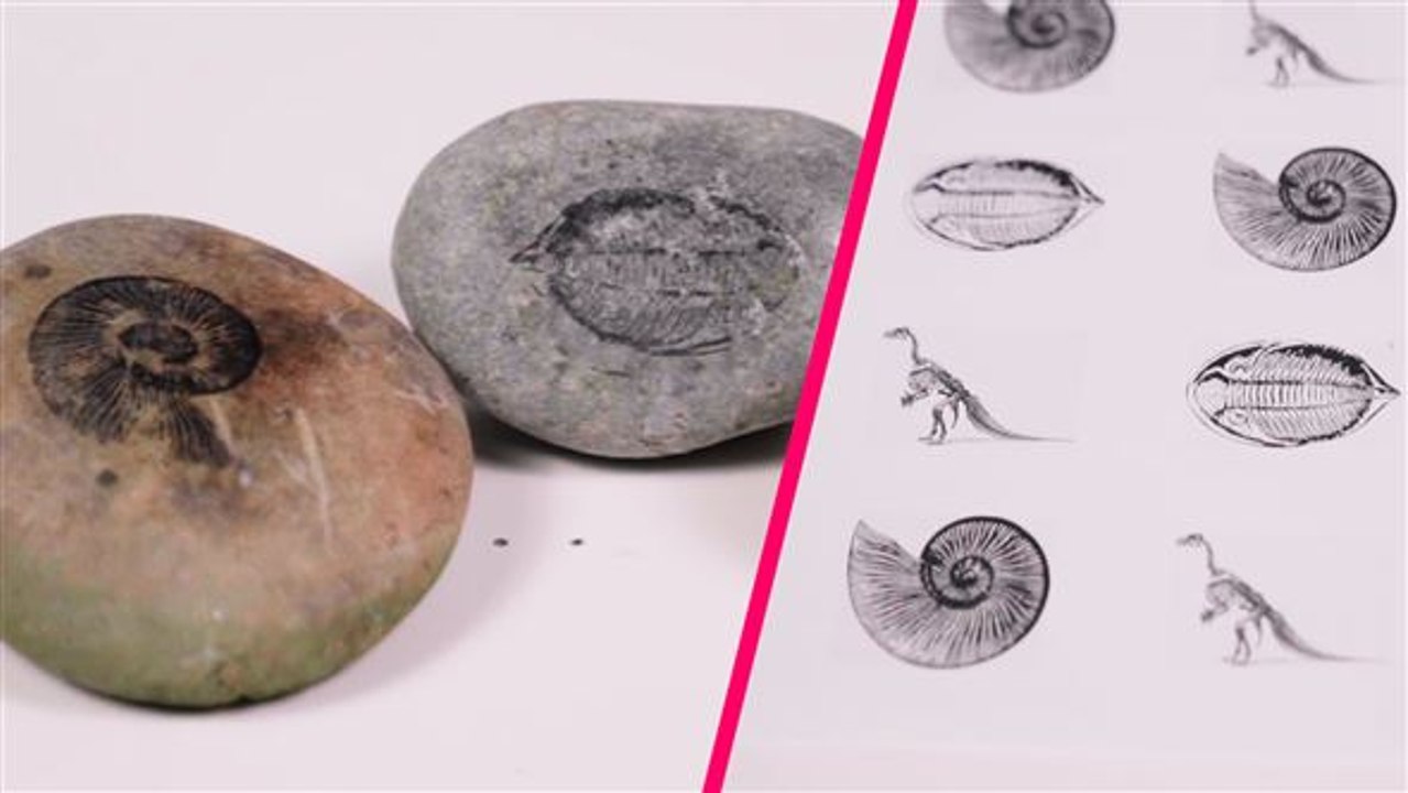 Wie man Bilder überträgt: Bilder auf Steinen leicht gemacht