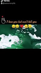 Heartfelt Love Songs & Bollywood Love Status ❤️