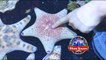 SEA LIFE AQUARIUM at Alton Towers Amusement Park- Sharks- Starfish- Crabs