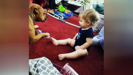 Dog with lovely baby