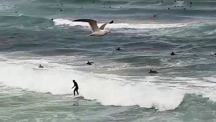 Saint-Sébastien, le samedi 2 mai, premier jour de "desescalada" au Pays Basque espagnol