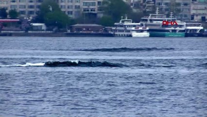YUNUSLARIN DALGALARLA DANSI ÜSKÜDAR'DAN GÖRÜNTÜLENDİ
