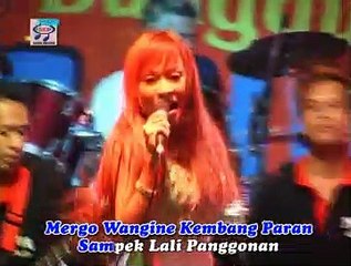 Lilis Darawangi Bintang Pantura - Bojoku Ilang [Official Music Video]