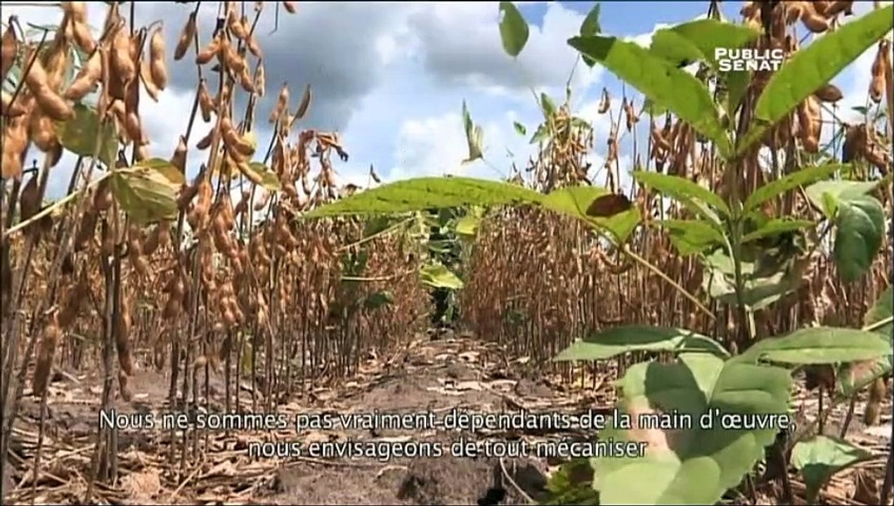 1ère Géo thm 3 vidéo 2 bilan 1
