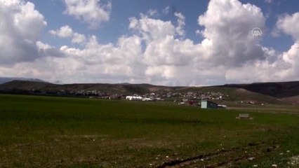 Arıcılar kolları sıvayarak bal üretimi çalışmalarına başladı