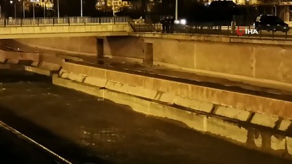 Bayburt’ta nesli tükenme tehlikesi altında olan su samurları görüntülendi