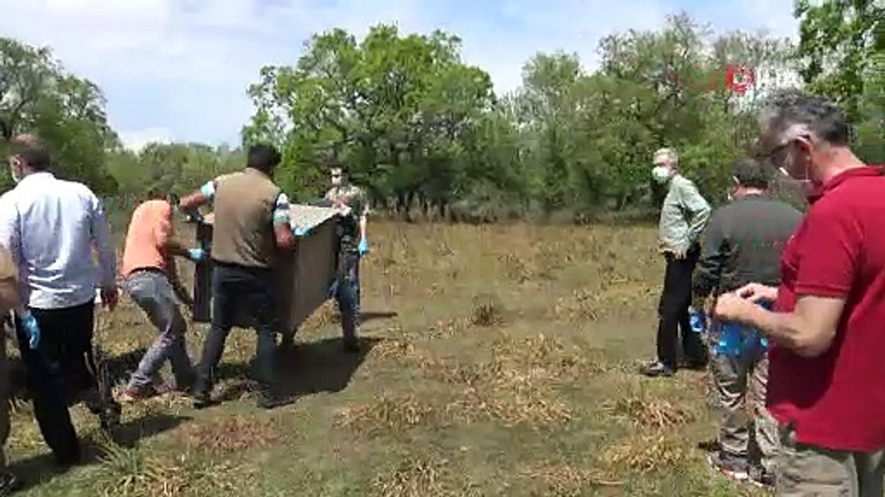 Bursa’da tedavileri tamamlanan 7 şahin 2 çakal doğaya bırakıldı