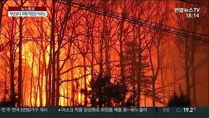 피해 규모 20분의 1…작년 산불과 뭐가 달랐나