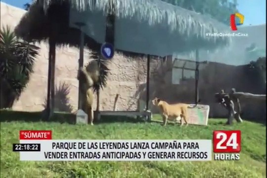 Parque de las Leyendas lanza campaña para vender entradas y generar recursos ante crisis