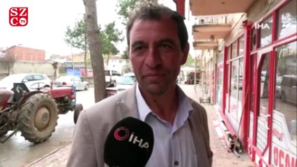 Dallarına konan kuşlar yere pisliyor diye ağaçları kestiler