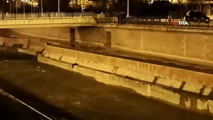 Bayburt'ta nesli tükenme tehlikesi altında olan su samurları görüntülendi