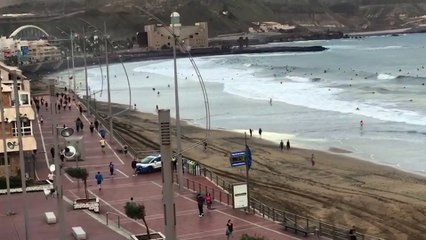 Cientos de surfistas se amontonan en la playa de Las Canteras